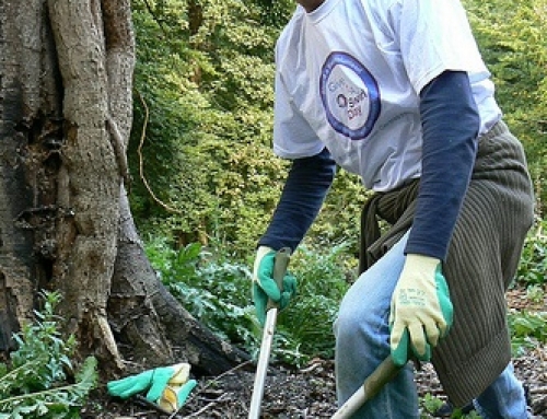 Engaging volunteers through DLR Volunteer Centre