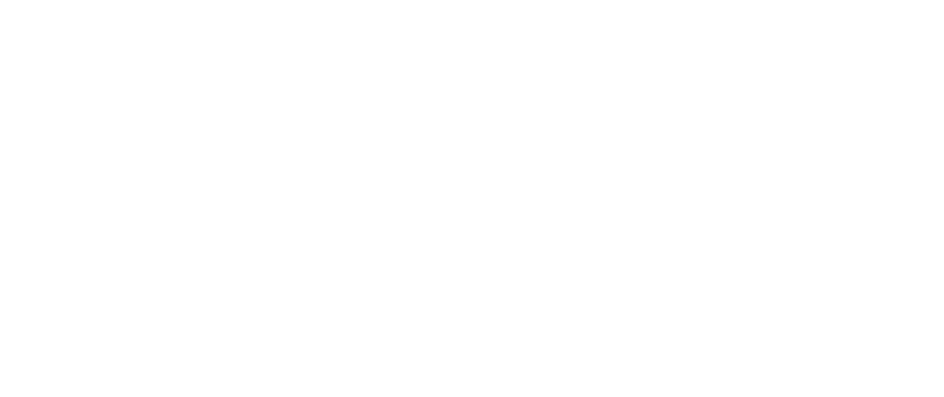 dlr_volunteer_centre_logo_white