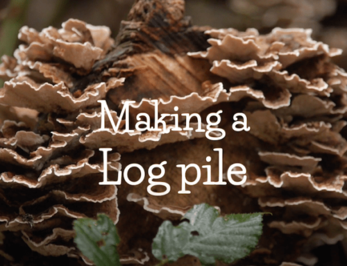 How to create a logpile