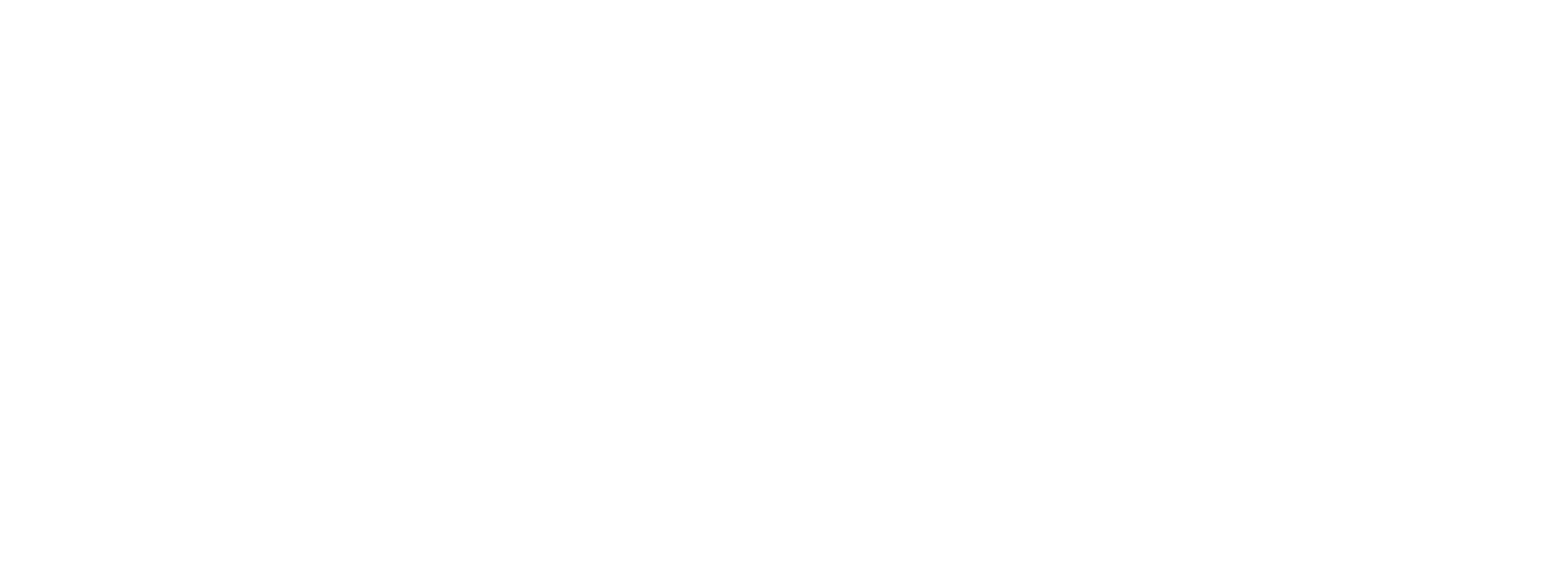 Volunteer Ireland Logo White DIGITAL Logo of Volunteer Ireland